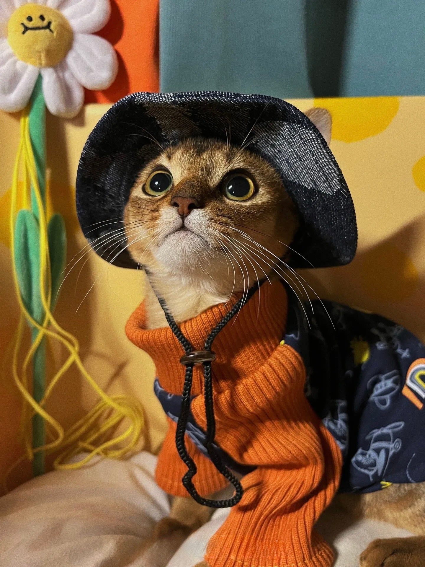 Sun Hat for Cats & Small Dogs